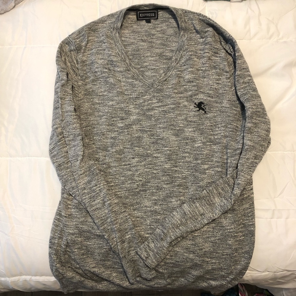 Express V-Neck Sweater